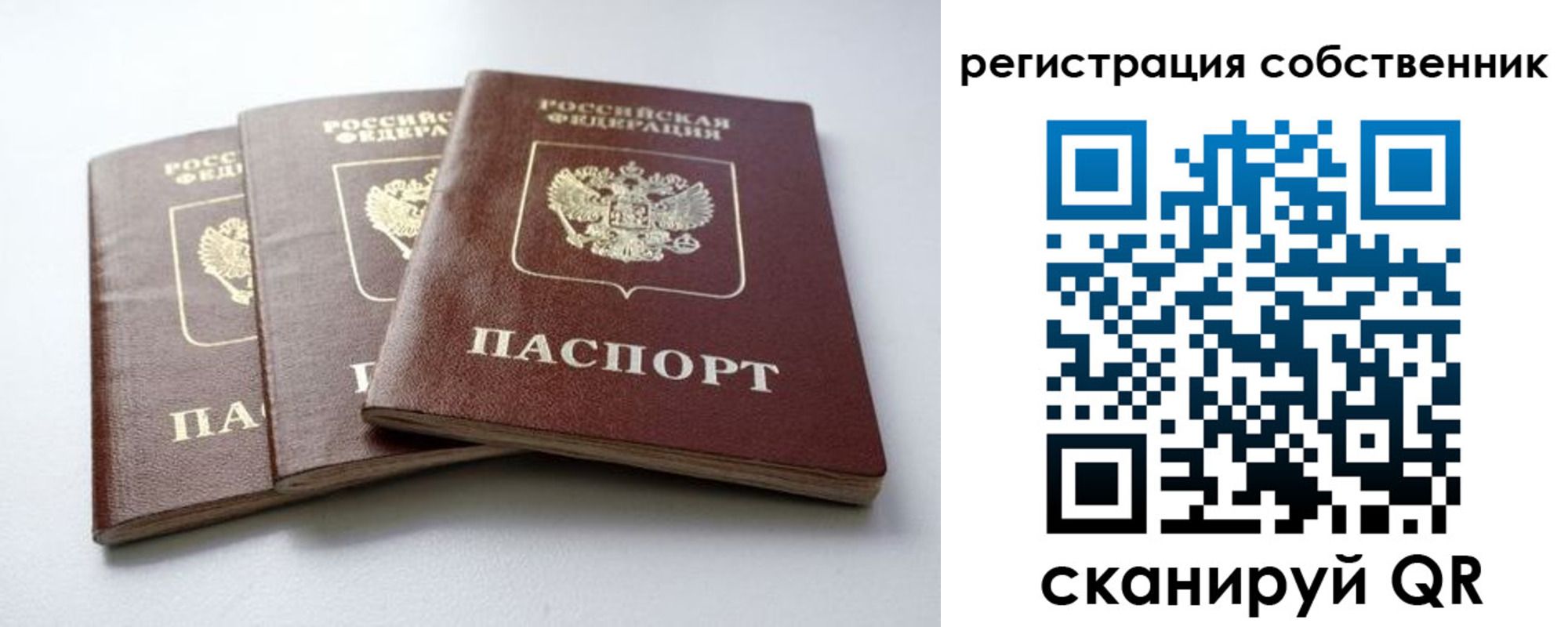 прописка для школы в Гвардейске